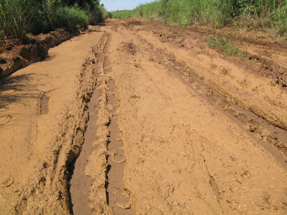 sticky mud as far as one can see.JPG